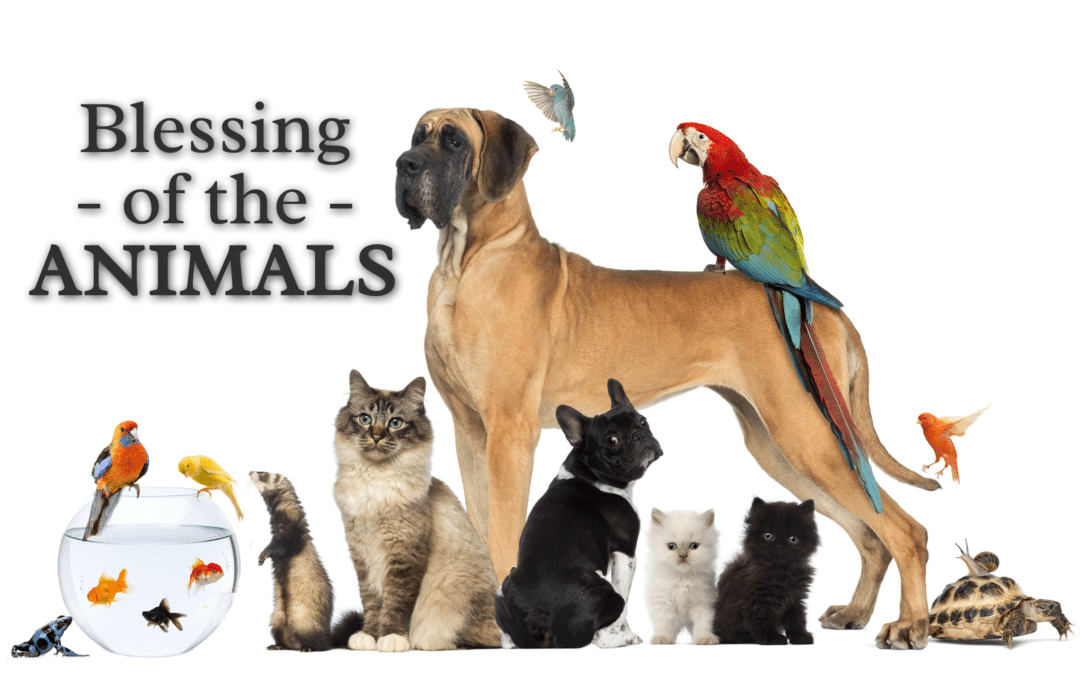 Blessing of the Animals Sacred Heart Catholic Church of Pinellas Park